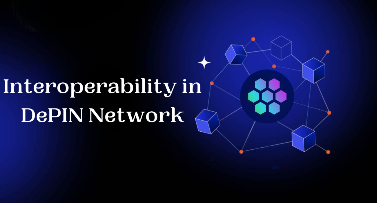 Interoperability in DePIN Network